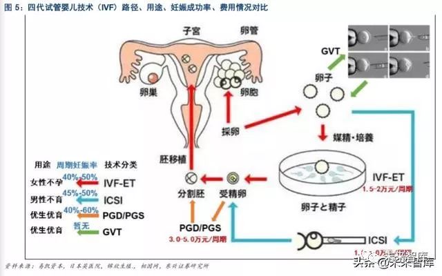 供卵试管婴儿中的辅助孵化有什么好处和坏处，辅助孵化能否提高成功率？
