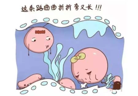 借精供卵的身体要求!高龄女性如何判断自己的卵巢是否老化？