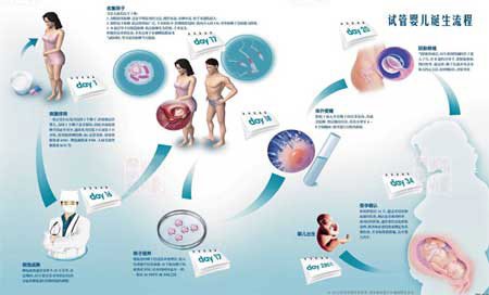 借卵做试管婴儿和自然受孕的婴儿之间真的有很大的区别吗？