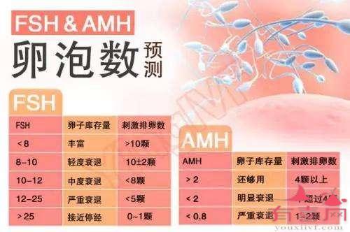 这些供卵做试管婴儿的传言太可怕了!尤其是最后一条!
