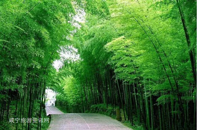 单身男性做供卵借卵试管代生的费用和流程是什么