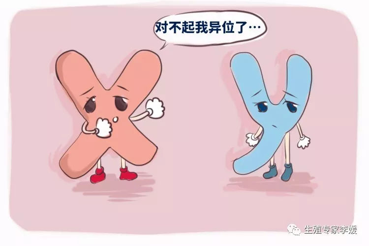 2022年盘锦供卵做试管代怀医院排名与成功率及费用介绍