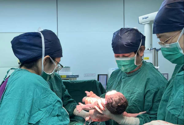 做借卵试管婴儿具备什么条件可以移植