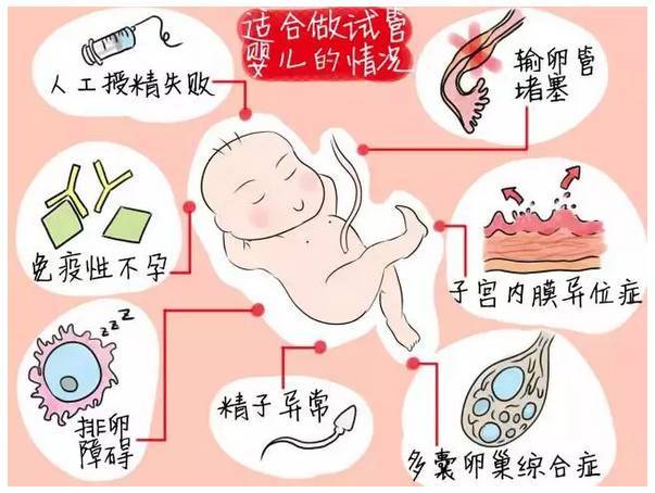 做供卵试管内膜13mm容易着床吗