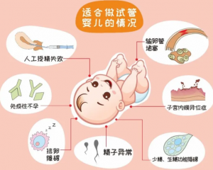 仁济医院做试管在哪个分院