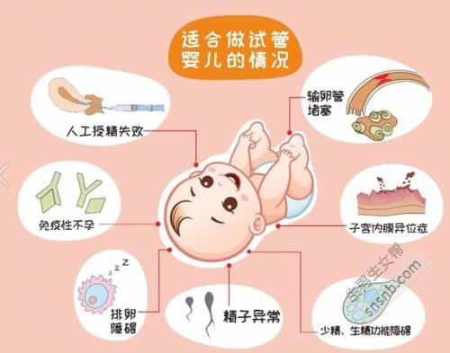 仁济医院做试管在哪个分院