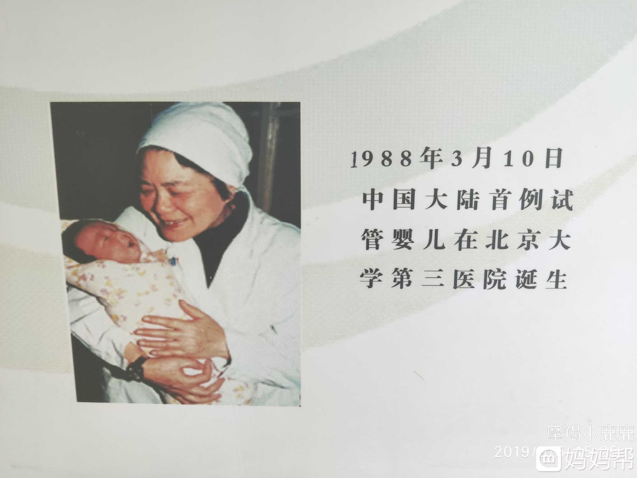 试管婴儿要怀多久