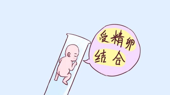 具支试管用途和注意事项