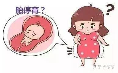 具支试管用途和注意事项