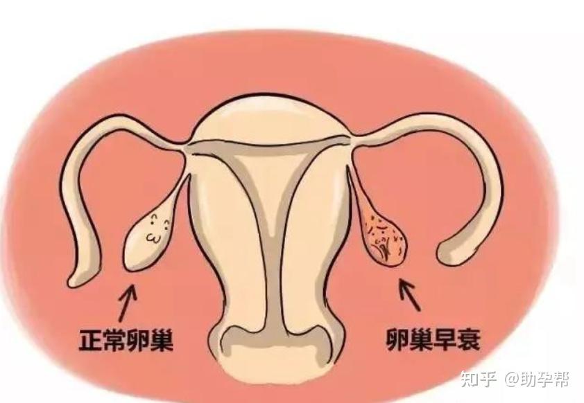 重庆哪些不孕不育医院能做试管便宜些