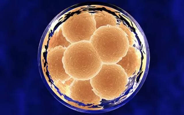 最新重庆2家代怀试管要多少费用医院排名、哪家成功率最高
