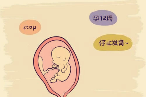 供卵女孩面试(捐卵面试)