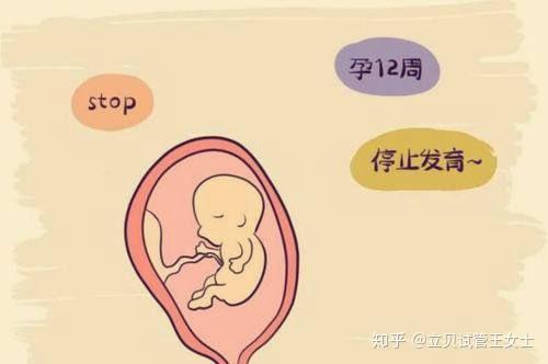 试管代怀赚费用为什么比较丑_去做试管代怀多少费用要怎么吃比较好？