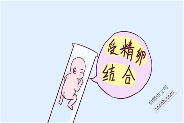 在重庆做试管采用辅助孵化有利有弊,损伤胚胎可大可小