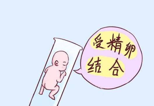 精子hds是什么意思+男性hds是什么意思