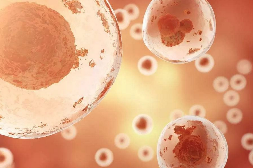 去正规医院买精子人工受孕多少钱