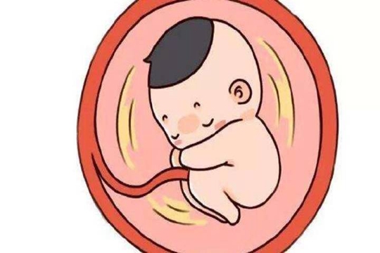 试管什么情况免费+有哪些代怀机构医生