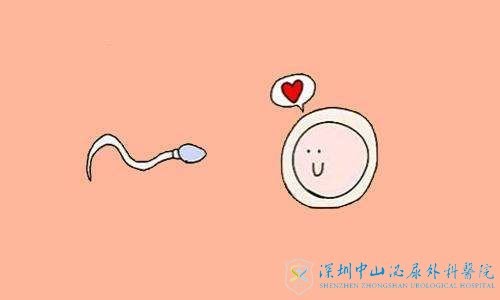 试管什么情况免费+有哪些代怀机构医生