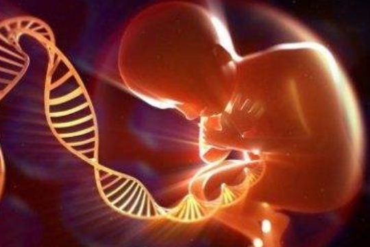 HIV洗精可代怀的公立医院婴儿成功率有多少（能一次成功吗？）