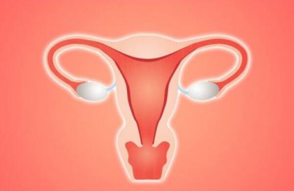 女人代怀无法筛选性别_找人代生宝宝可以做性别筛选吗+