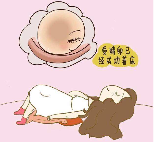 女人代怀无法筛选性别_找人代生宝宝可以做性别筛选吗+