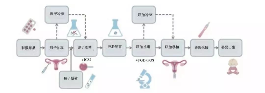 去重庆代怀公司排名不用中介