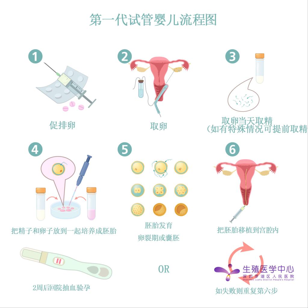 一代试管也可以养囊胚,高成功率背后的风险可不小得慎重