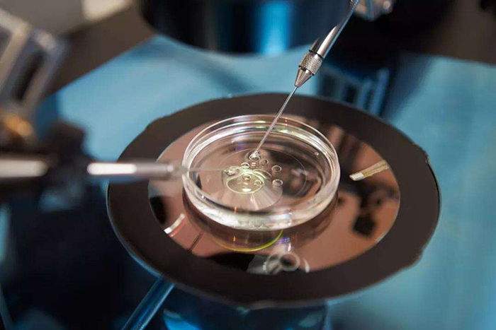 怀男孩和女孩的反应有什么区别