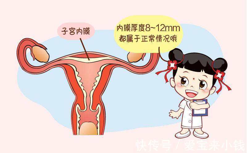 试管助孕中介电话取卵与取精时间代生做男孩公司取卵与取精是不是同时