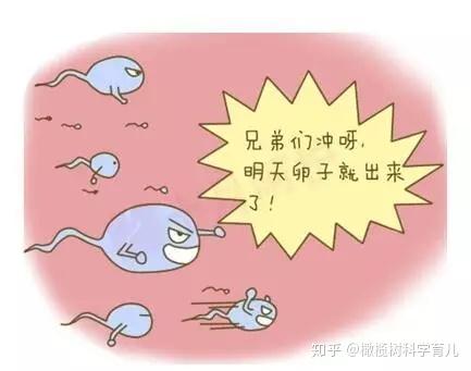 2024吉大一院正规助孕机构费用大约多少（做一次试管全花费明细）